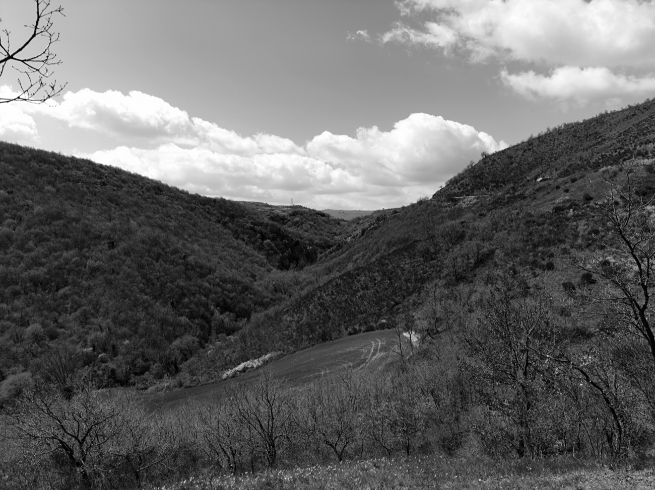 A short description about the picture goes here