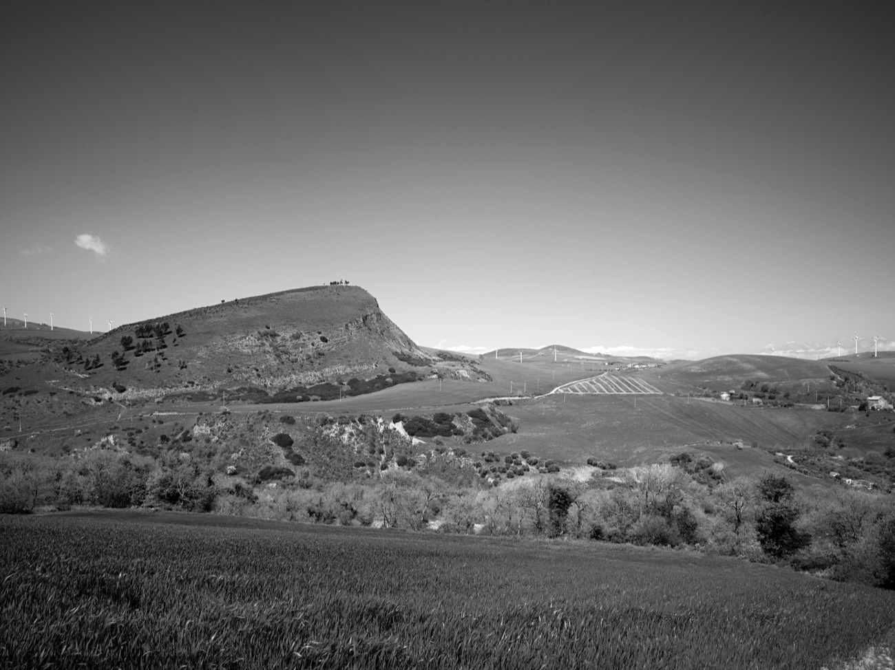 A short description about the picture goes here