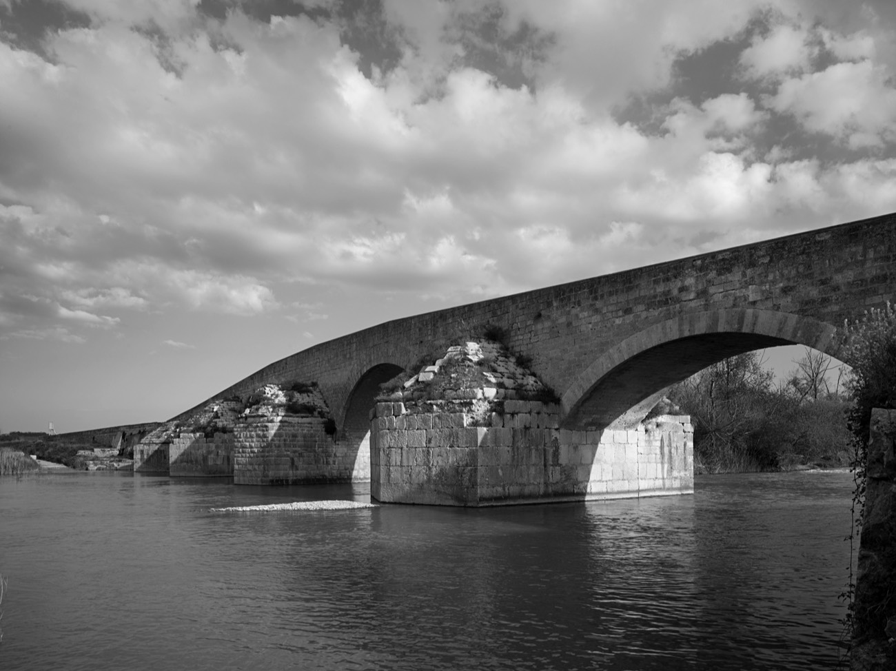 A short description about the picture goes here