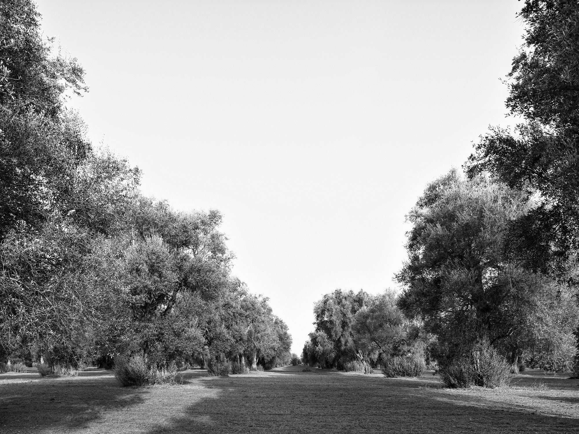 A short description about the picture goes here