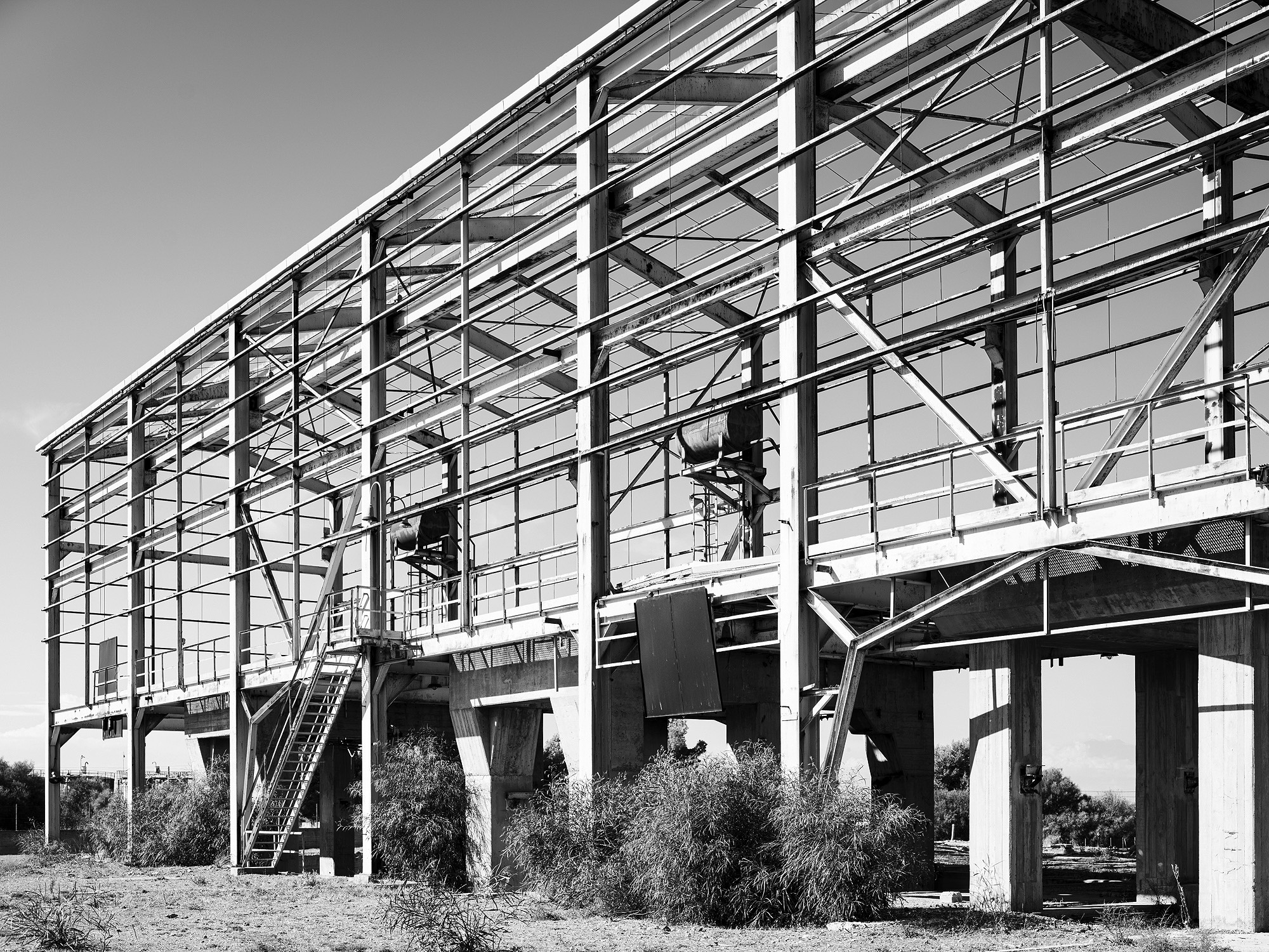 A short description about the picture goes here