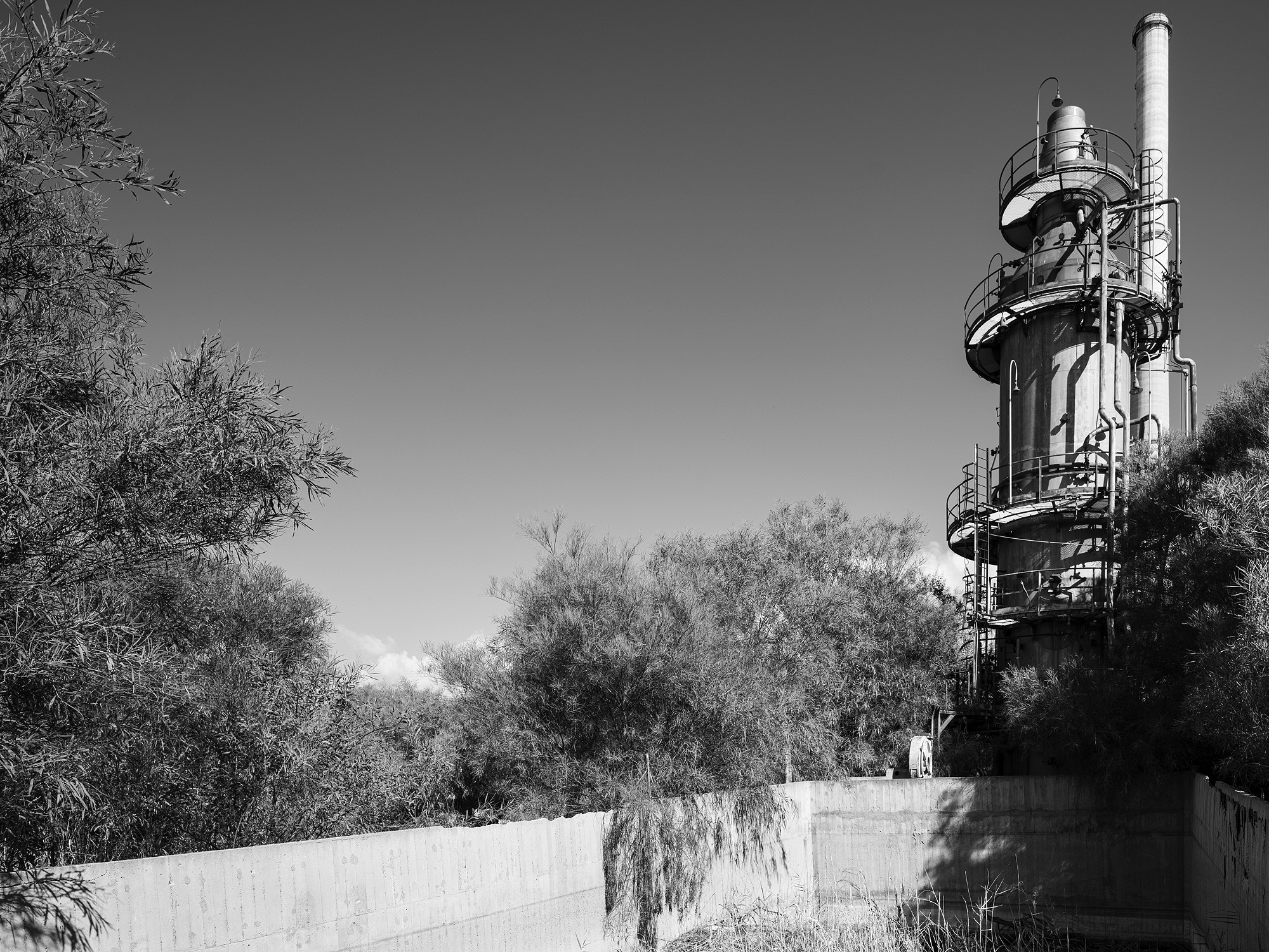 A short description about the picture goes here