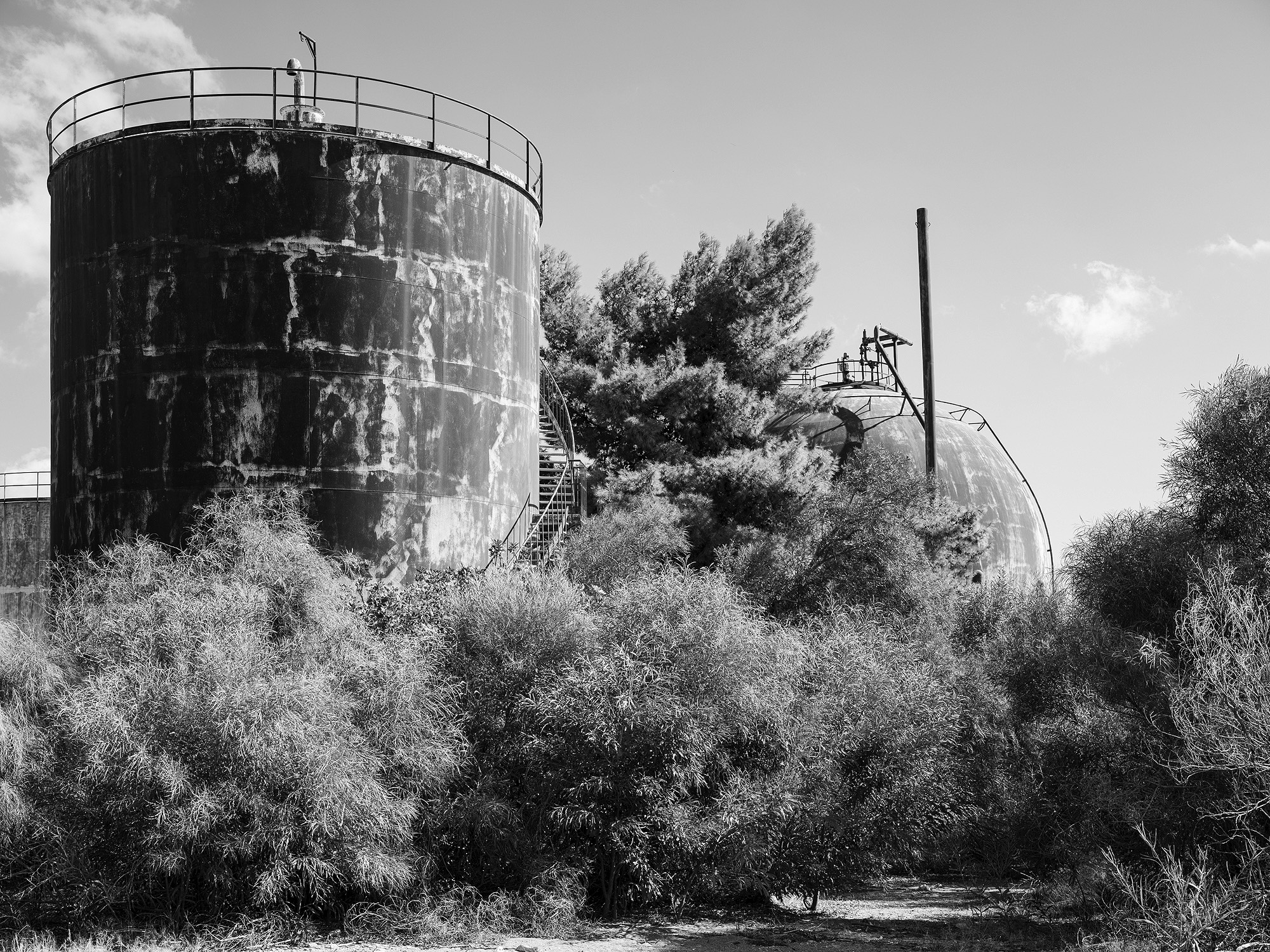 A short description about the picture goes here