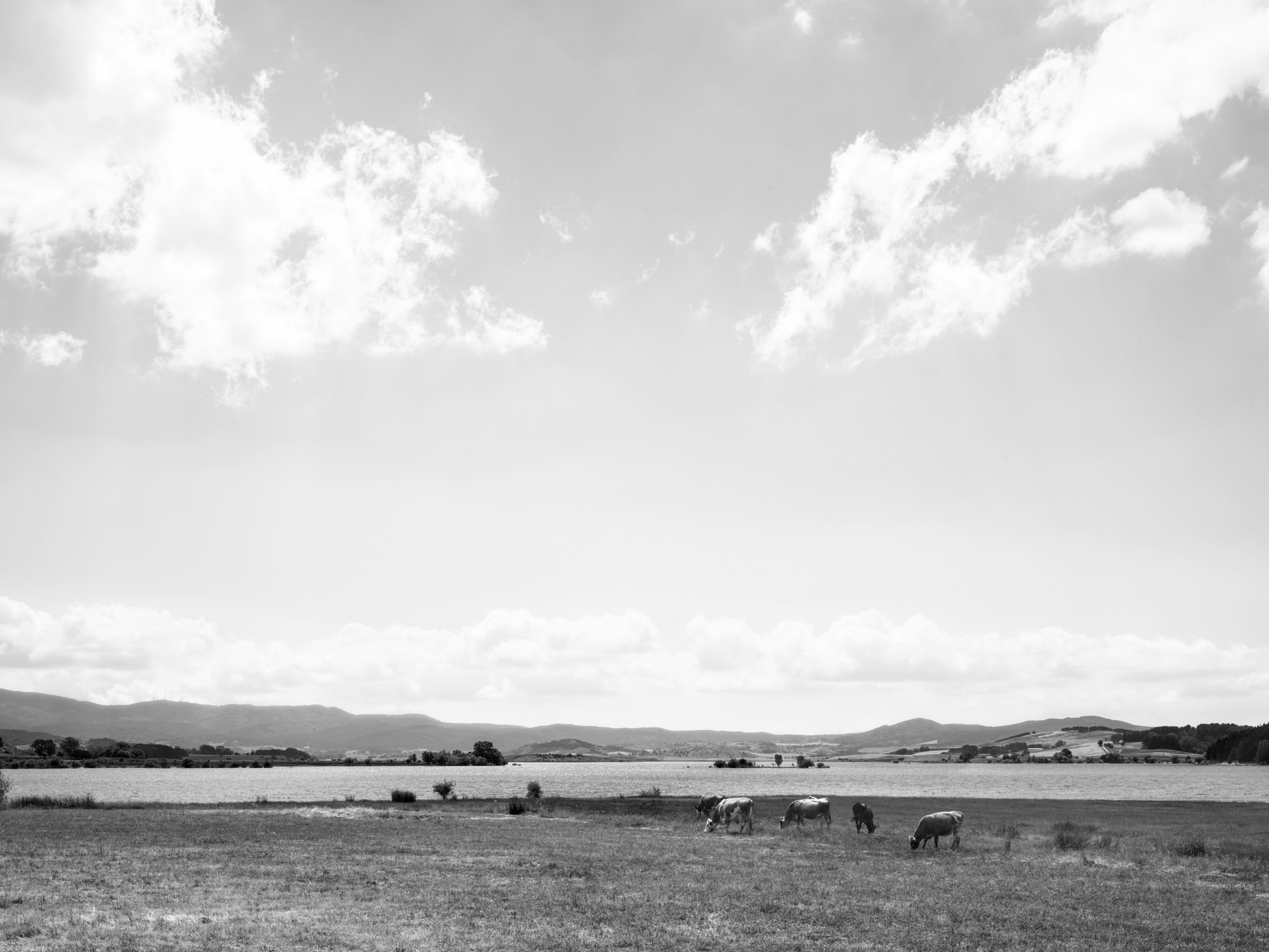 A short description about the picture goes here