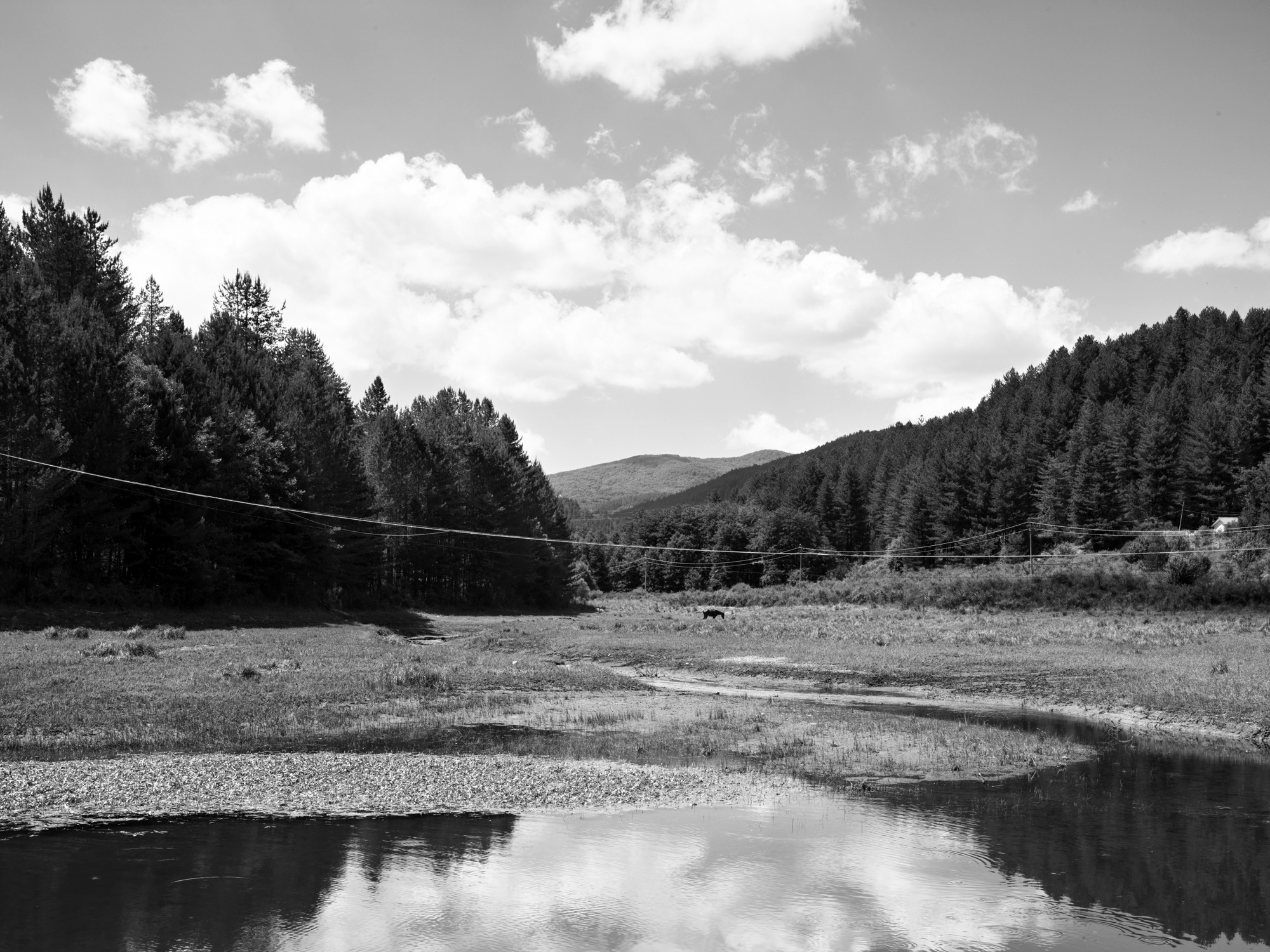 A short description about the picture goes here