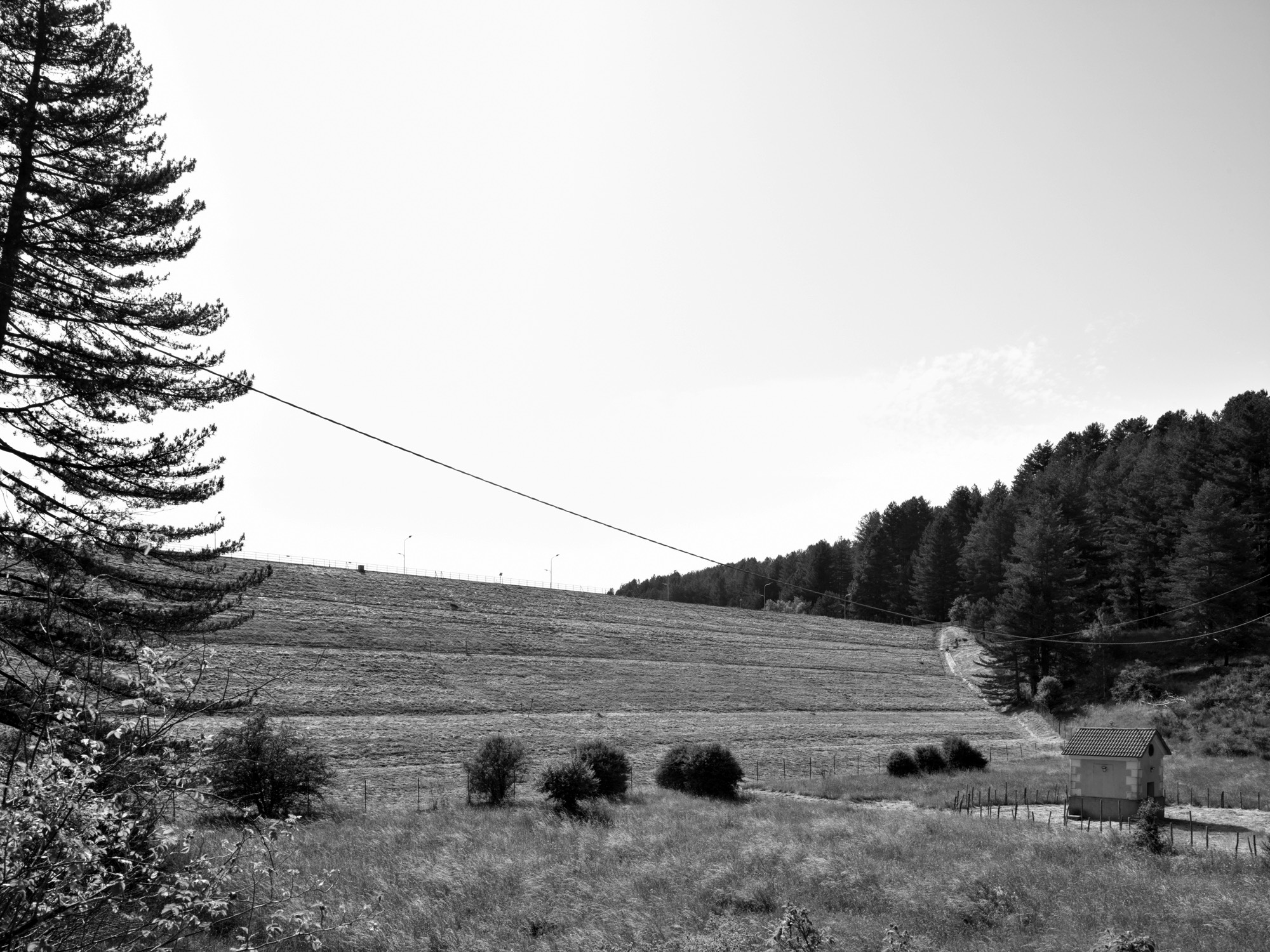 A short description about the picture goes here