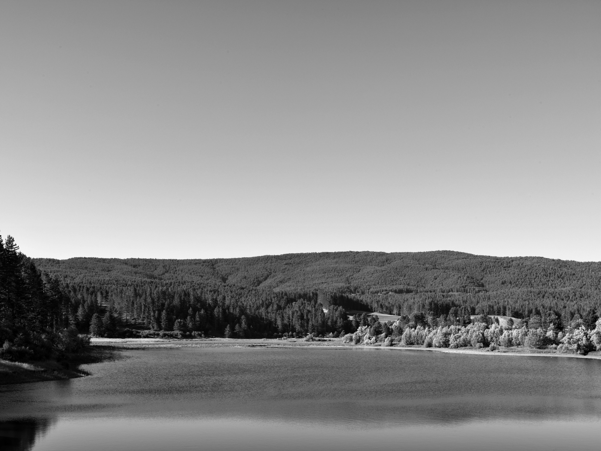 A short description about the picture goes here