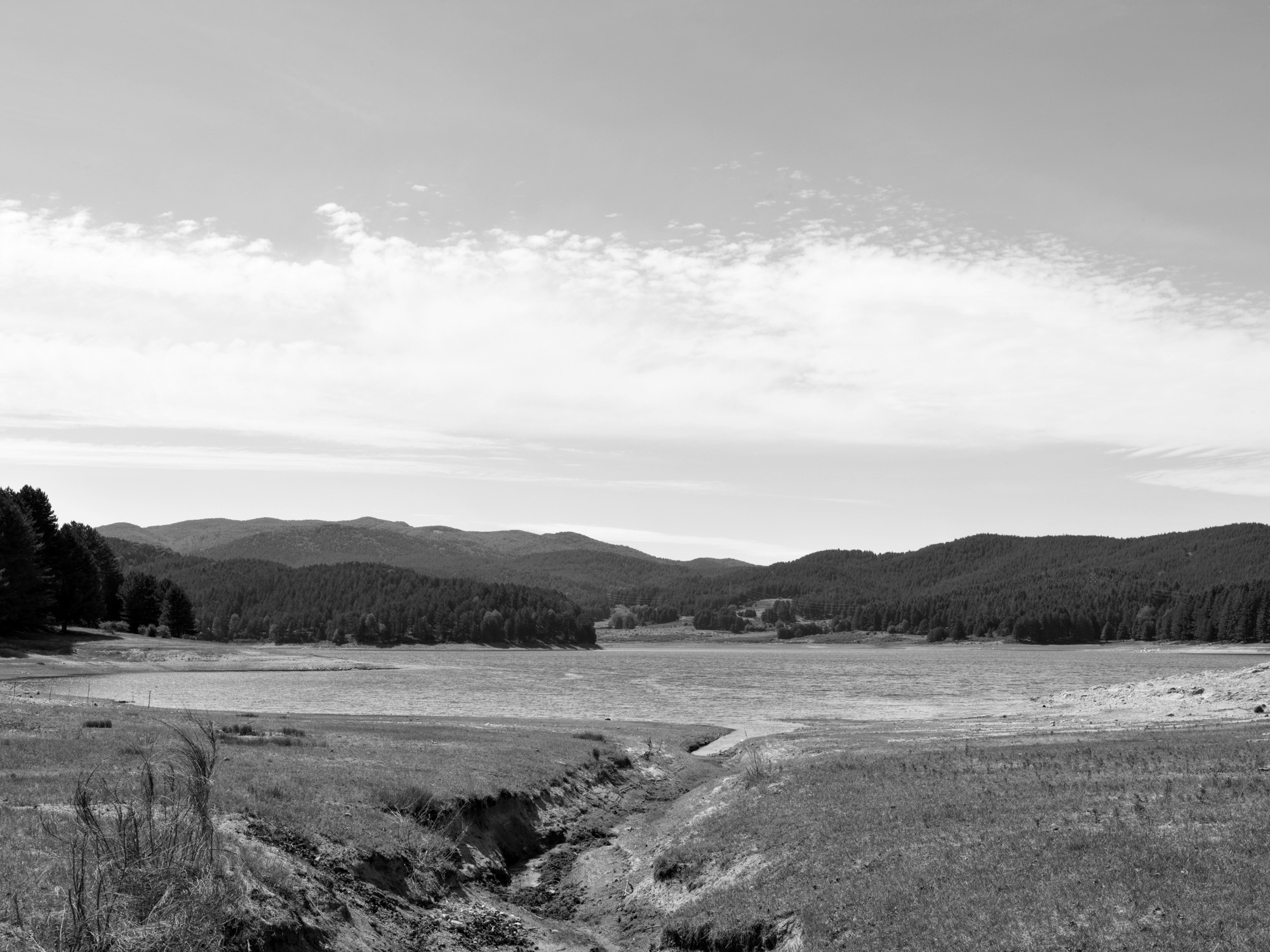 A short description about the picture goes here