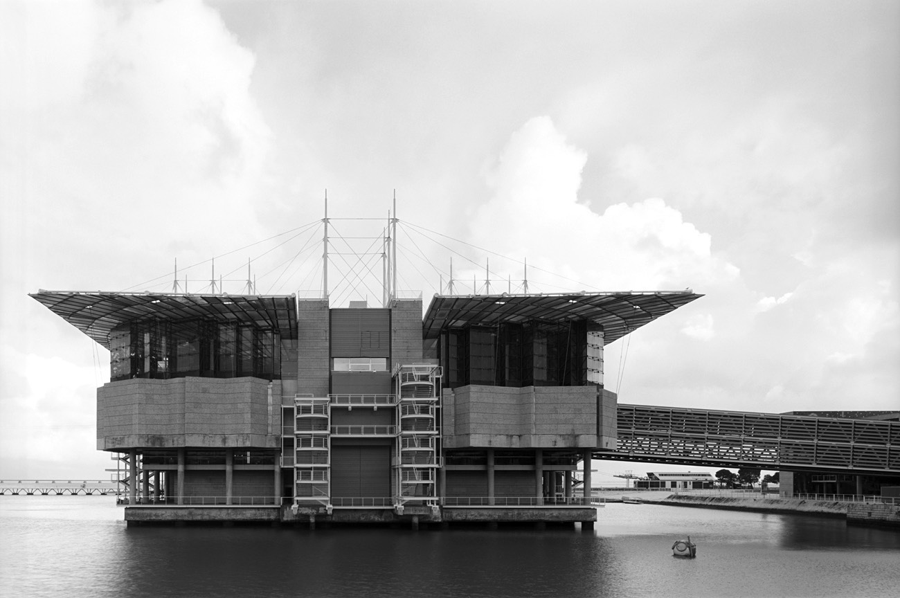 A short description about the picture goes here