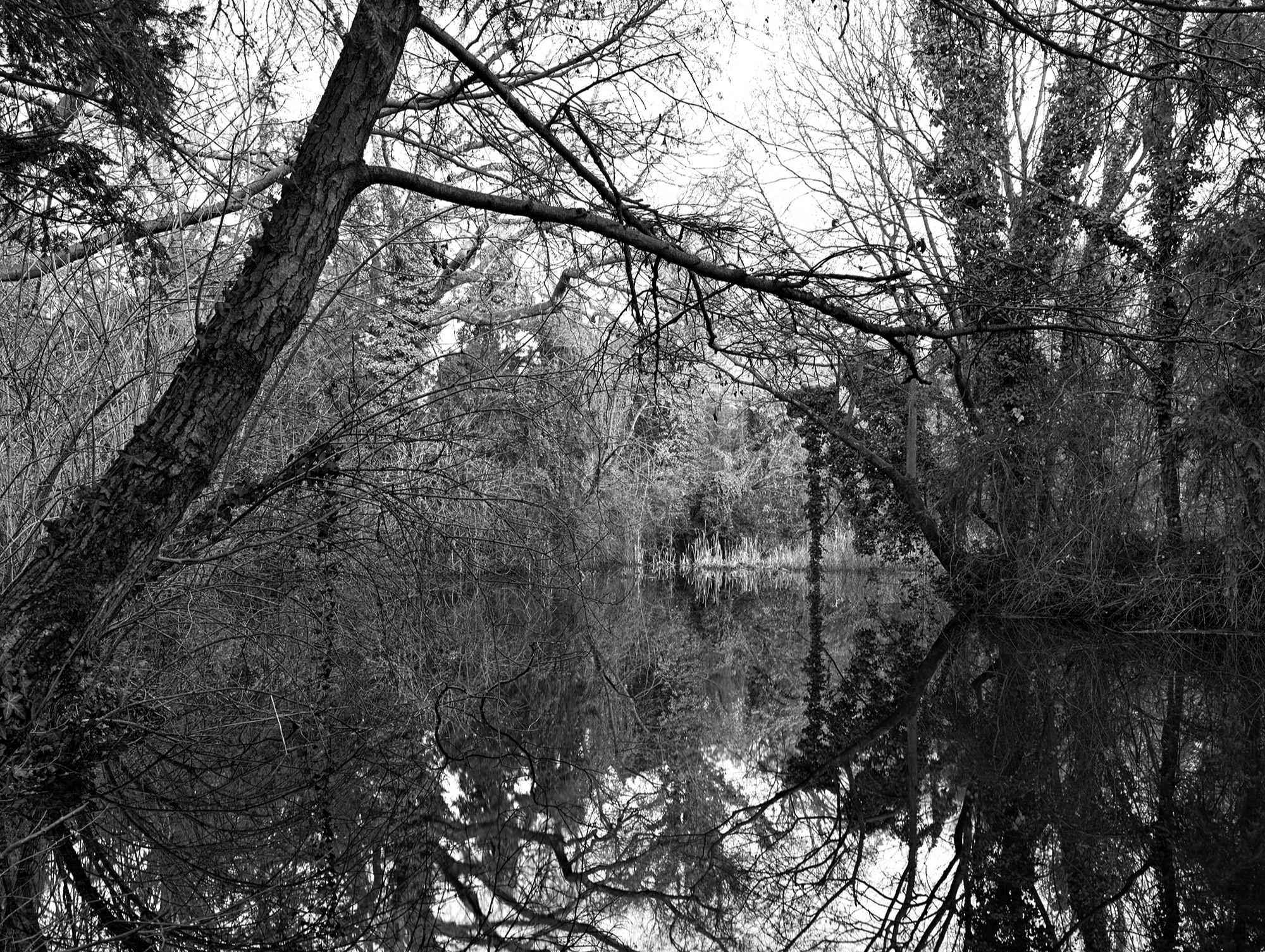 A short description about the picture goes here