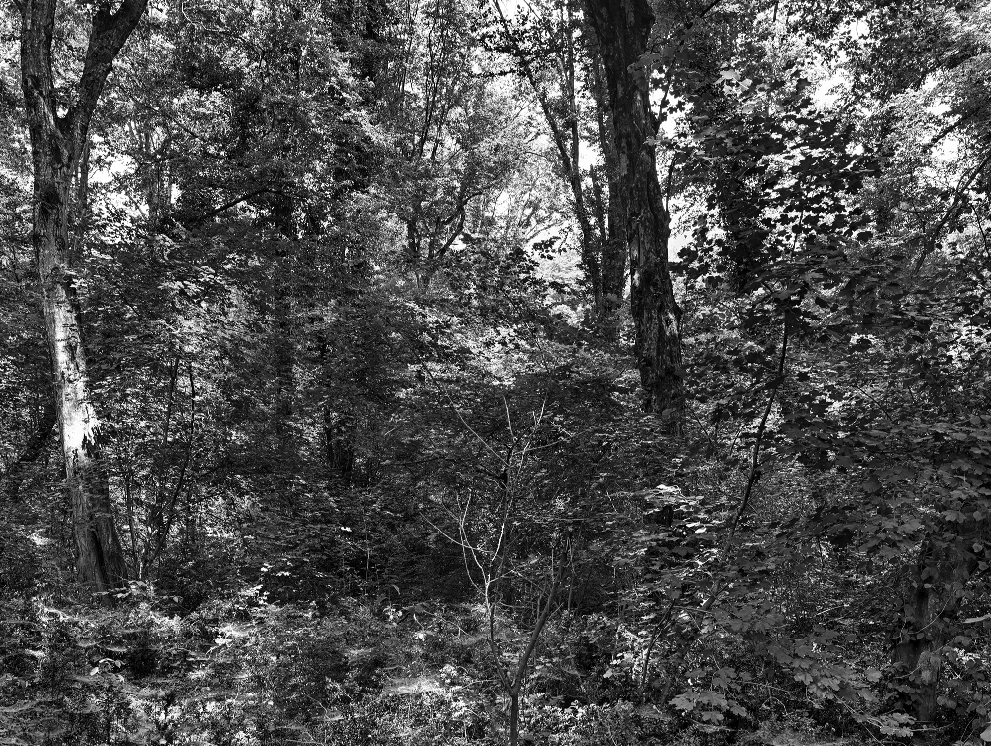 A short description about the picture goes here