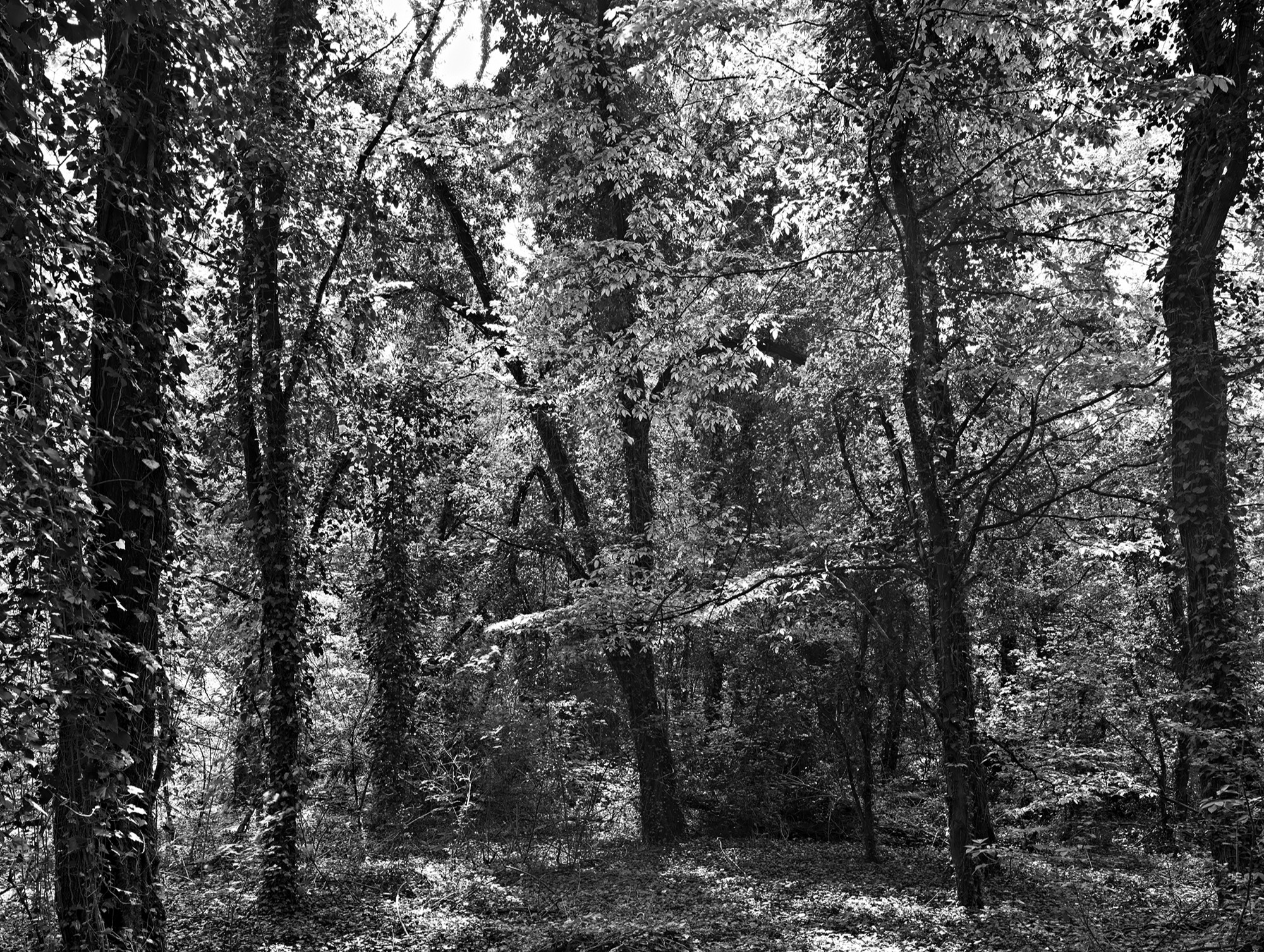 A short description about the picture goes here