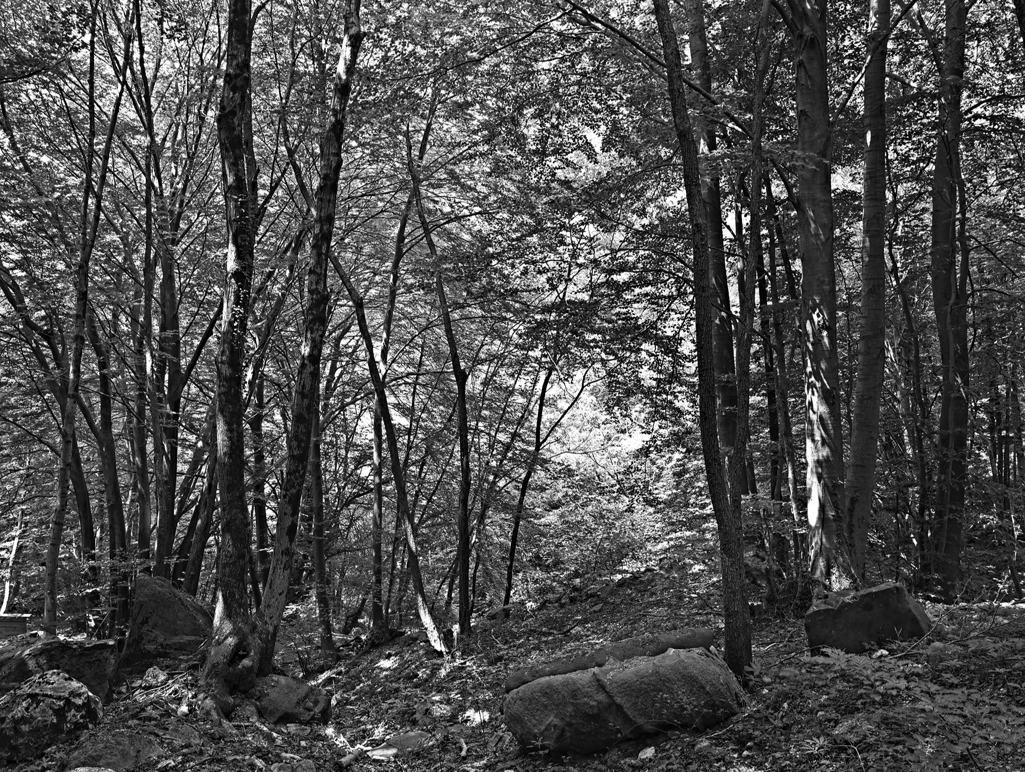 A short description about the picture goes here