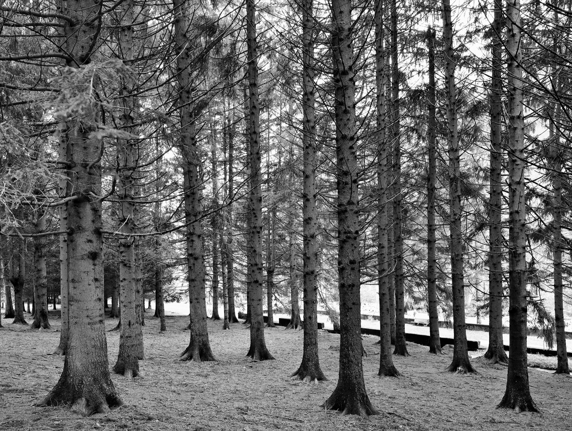 A short description about the picture goes here