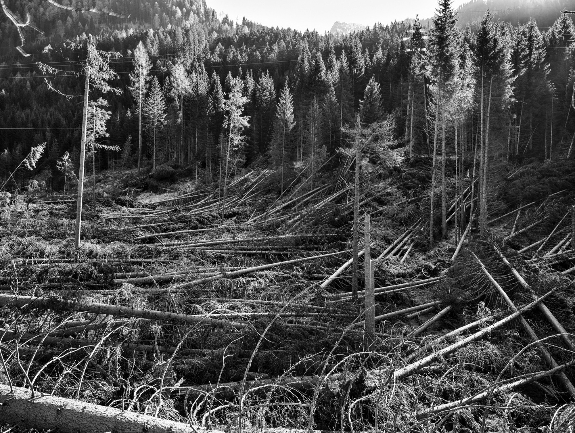 A short description about the picture goes here