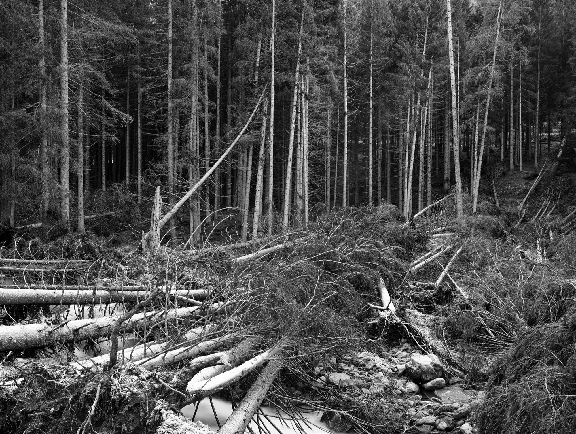 A short description about the picture goes here