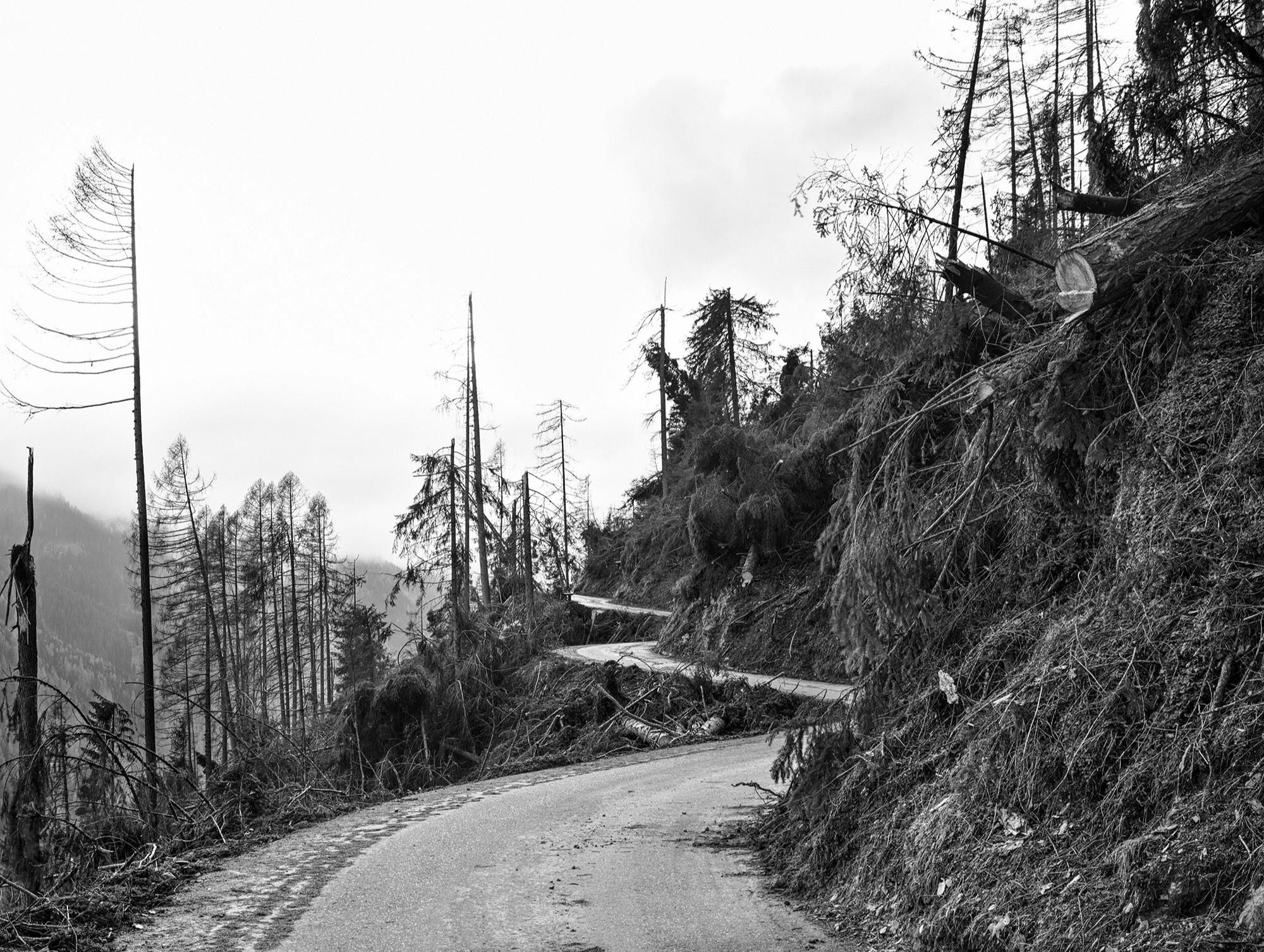 A short description about the picture goes here