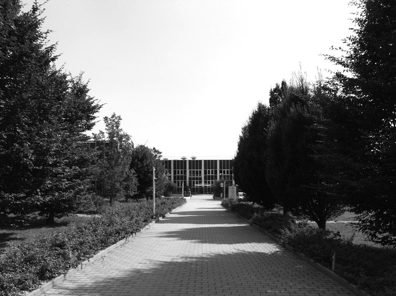 A short description about the picture goes here