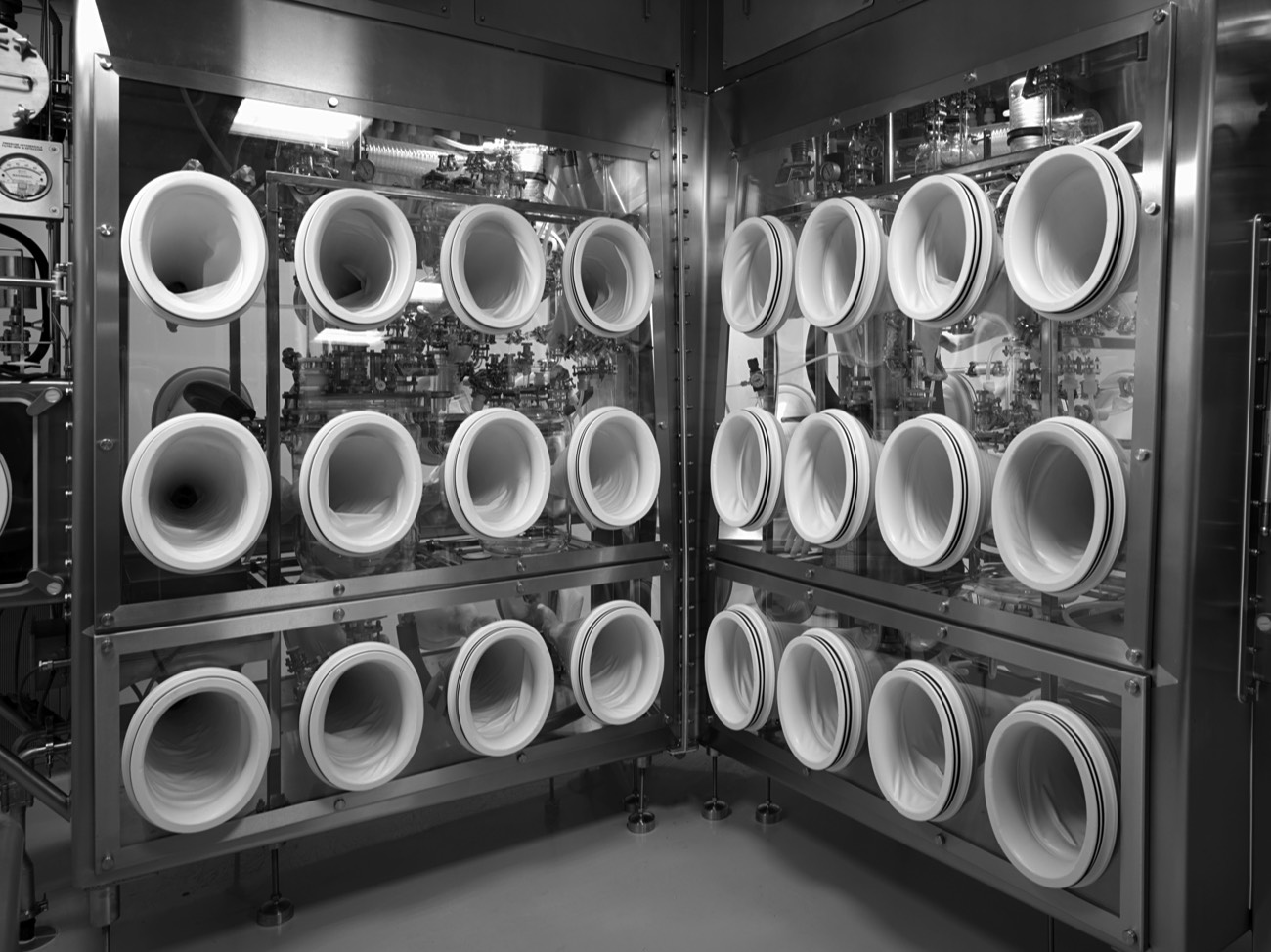 A short description about the picture goes here