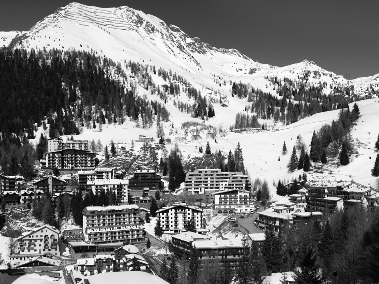 A short description about the picture goes here