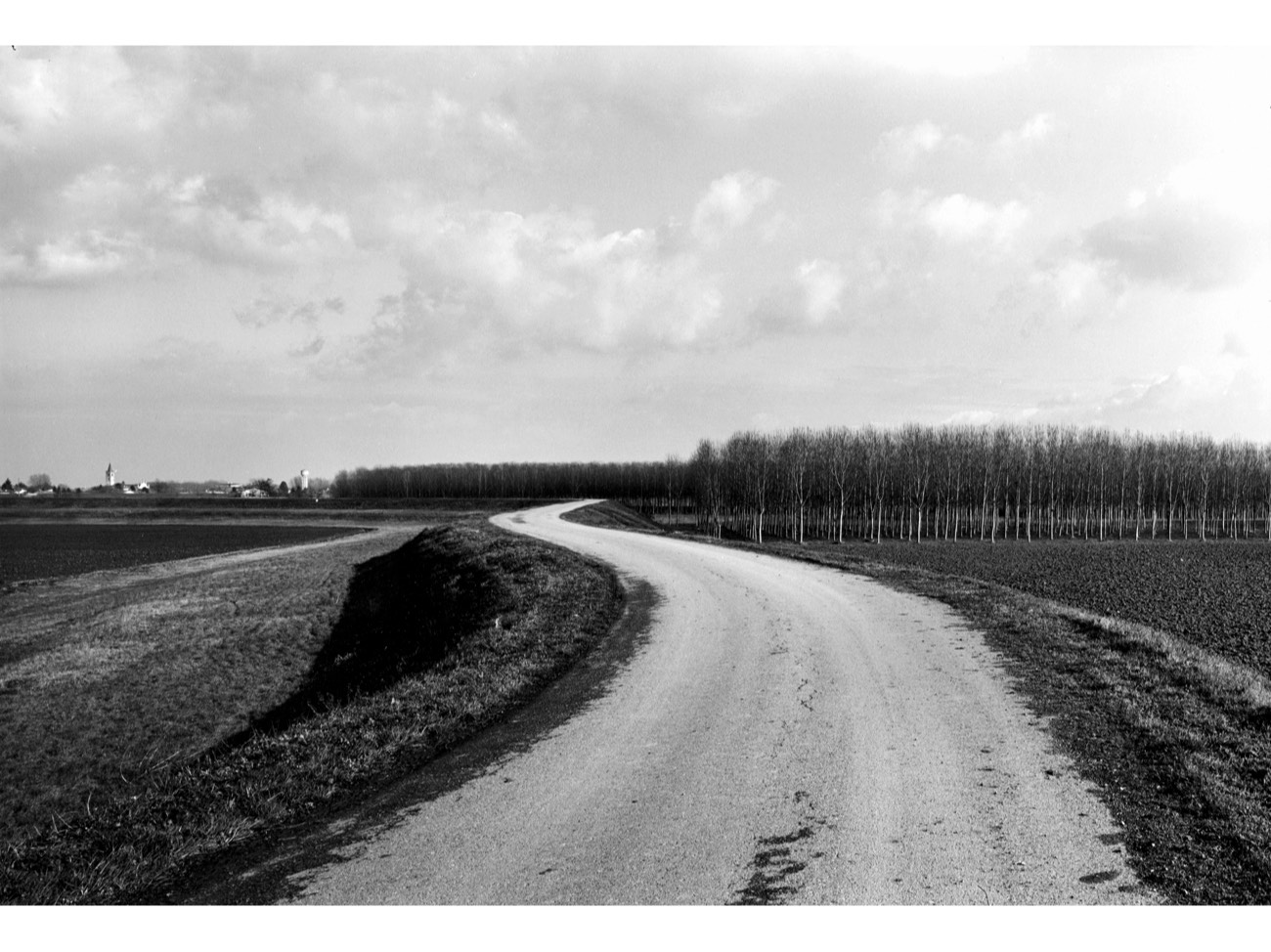 A short description about the picture goes here