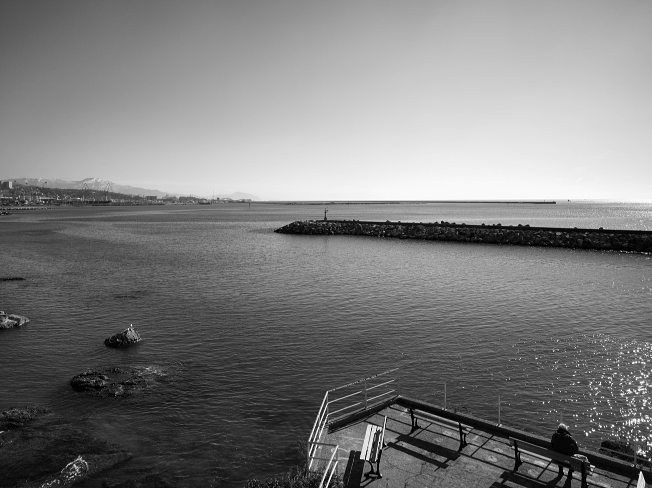 A short description about the picture goes here